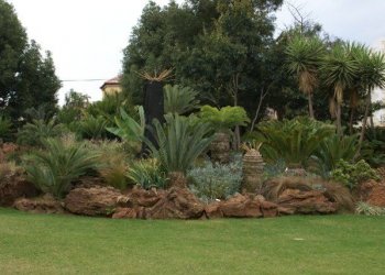 Gardening & Landscaping