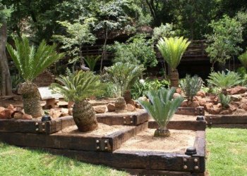 Gardening & Landscaping