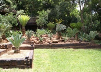 Gardening & Landscaping